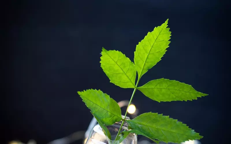 他已经怕了好女人，只想你能坏一点