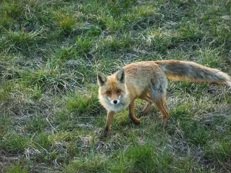 “他对性很渴望，对我却一点都不关心，他是渣男吗？”