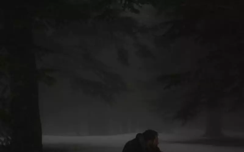 他说没有感觉了怎么挽回