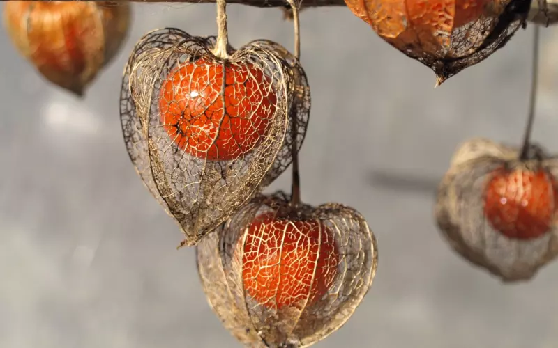 “他说只是肉体出了一次轨，真正爱的还是我，我该怎么办？”