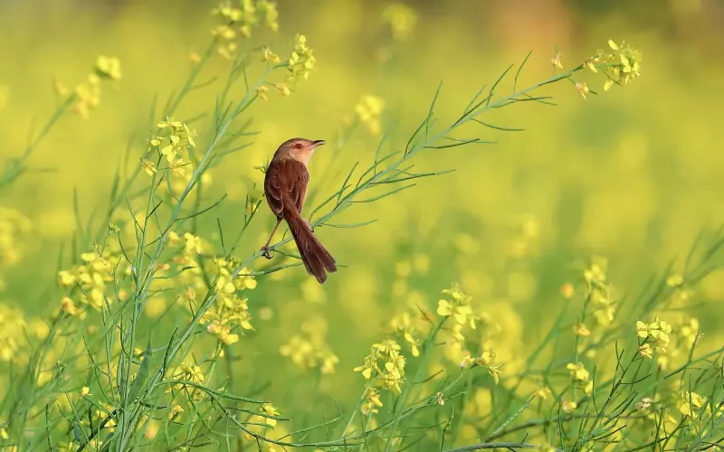 他说我的毛病，一辈子都不会改