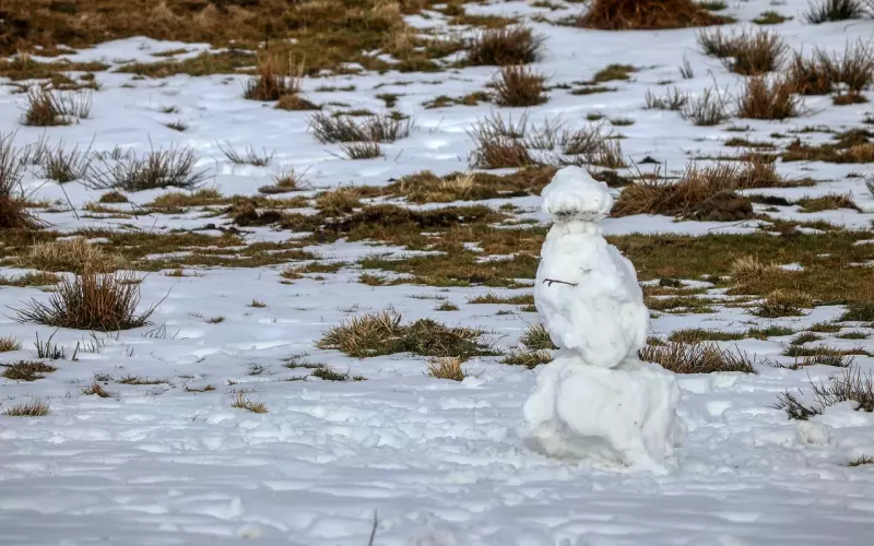 他说“疫情结束我们就去离婚”，还有机会逆转结局吗？
