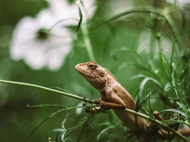 让人心痛的句子，适合做个性签名！
