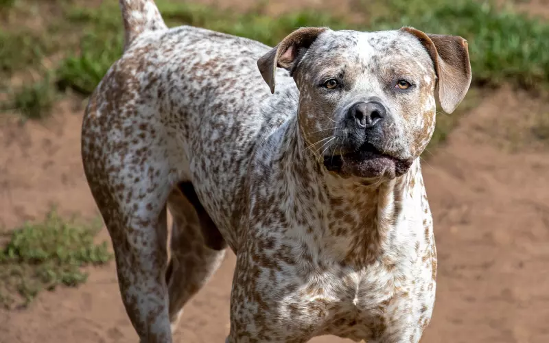 适合发朋友圈的心碎句子，短小精悍，很有道理