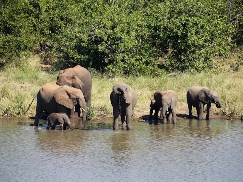 你好，这有份谈恋爱攻略，请签收！