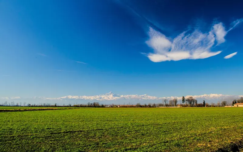 挽回变心男人绝招  告诉你5个技巧