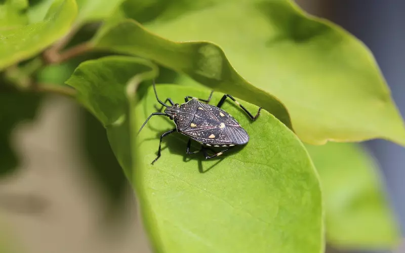 挽回前男友切忌五个错误的挽回手段