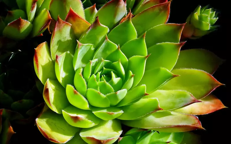 分手后被拉黑的你可以这样挽回