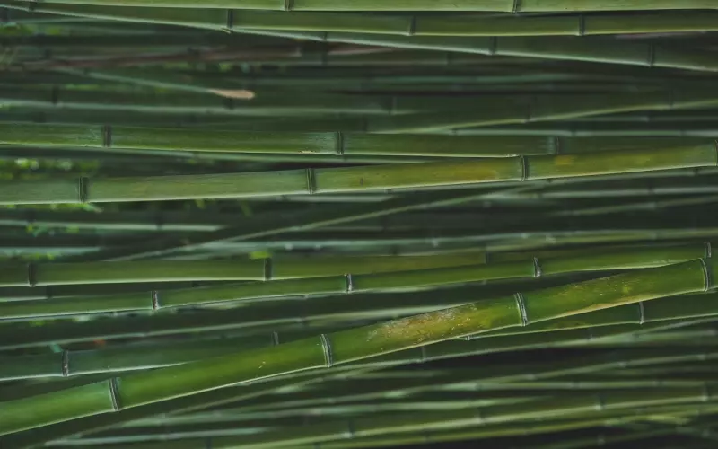 扭转4种负面的沟通模式，你还可以这样做