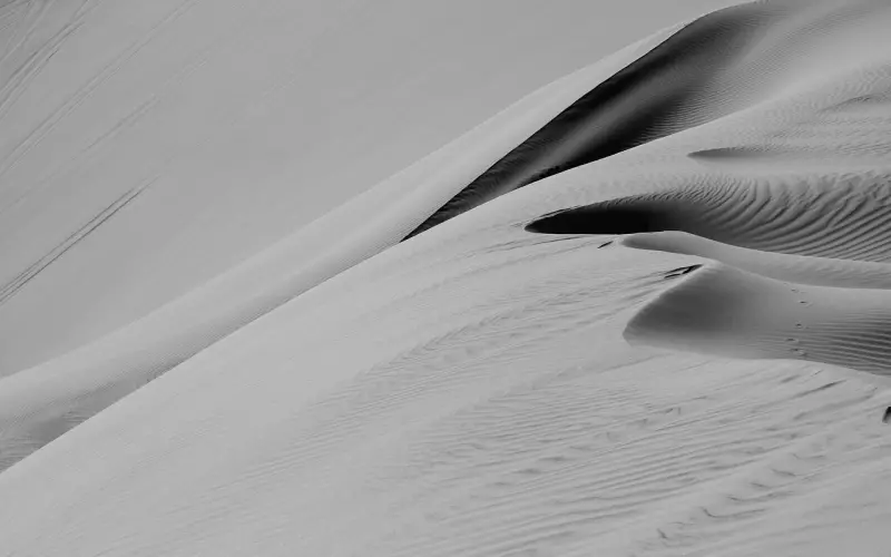 嗨！简，和我共舞一曲吧