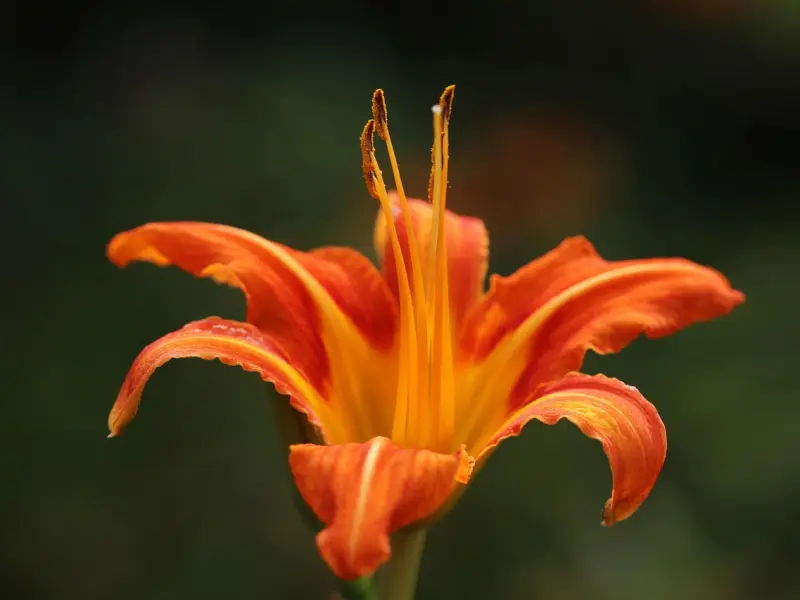 他的态度十八变，我俩的感情该如何继续