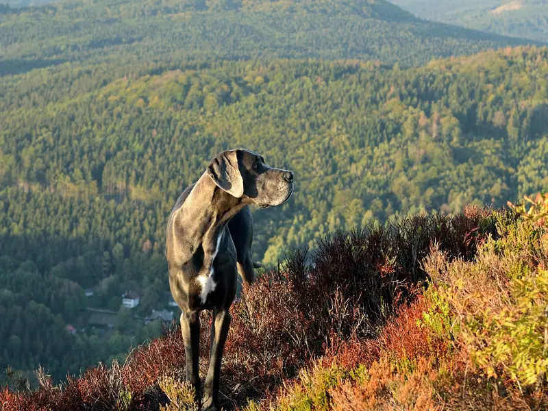 “他前女友150都没有，而我只想弄死男友，所以会家暴他！”