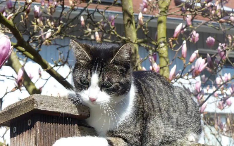 紧抓在手，你将失去更多