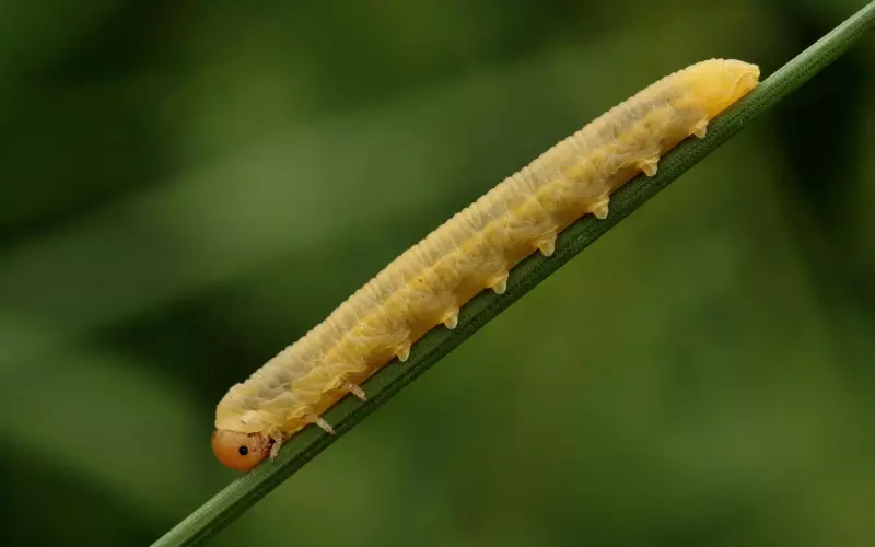 假期心理学：小心，休假期易变吵架期！