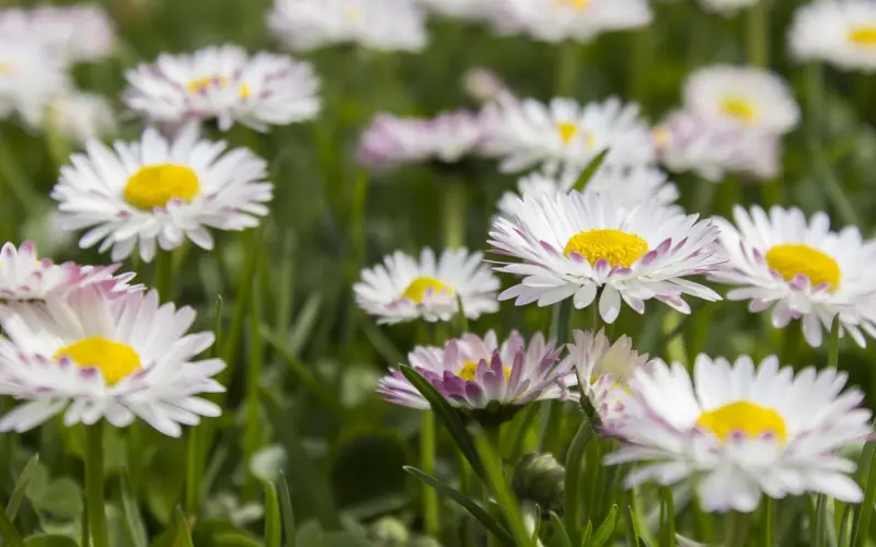 家，很平淡； 爱，很简单