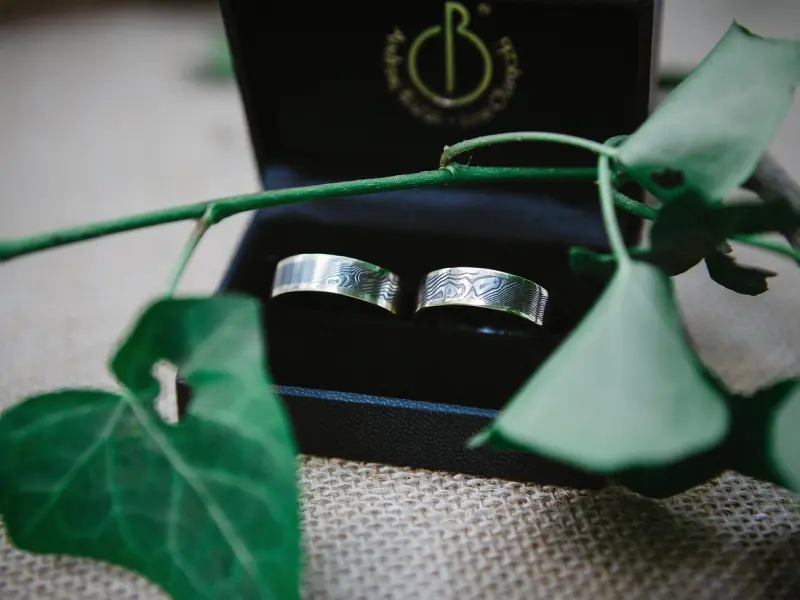 ⭐一周星座运势✨