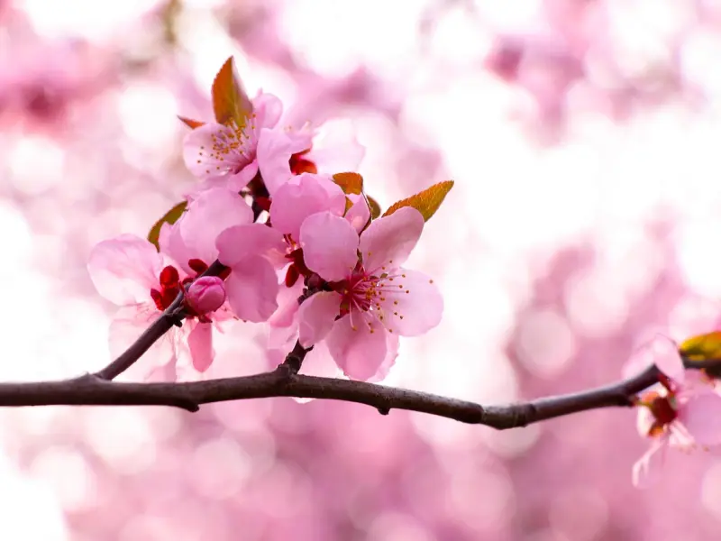 聊天什么程度算暧昧 男女关系暧昧的表现有哪些