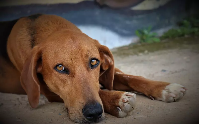 备胎是怎么炼成的，看看你中标没？