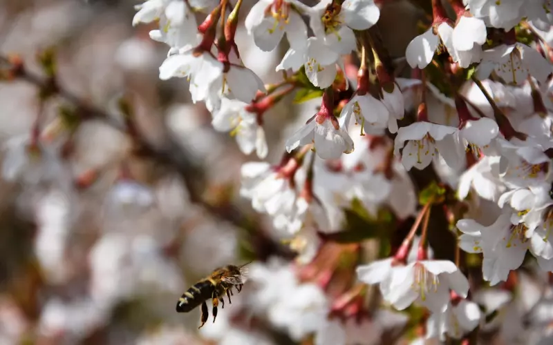 在情感中占有欲强的女生，要如何通过正确的方法挽回男人？