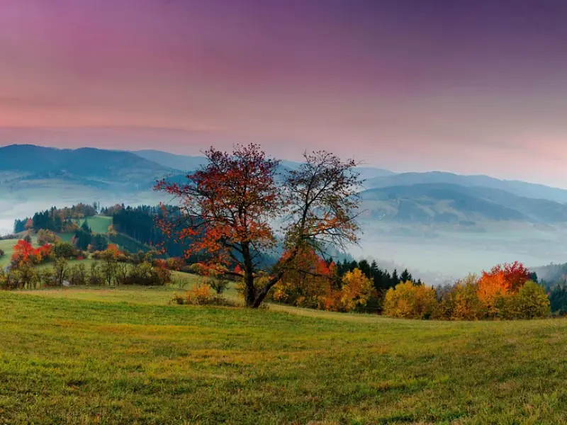 和女生聊一些暧昧的话题，怎么才不会被拉黑？