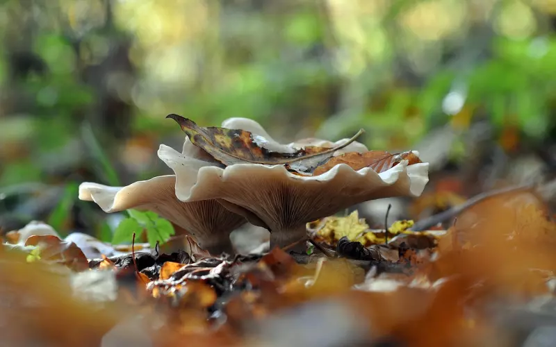 老公消失不联系了怎么挽回？5个有效方法帮你重新建立关系