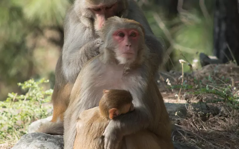 老婆绝情提出离婚该怎么挽回？唯有相互扶持，相互理解，才能美满一生