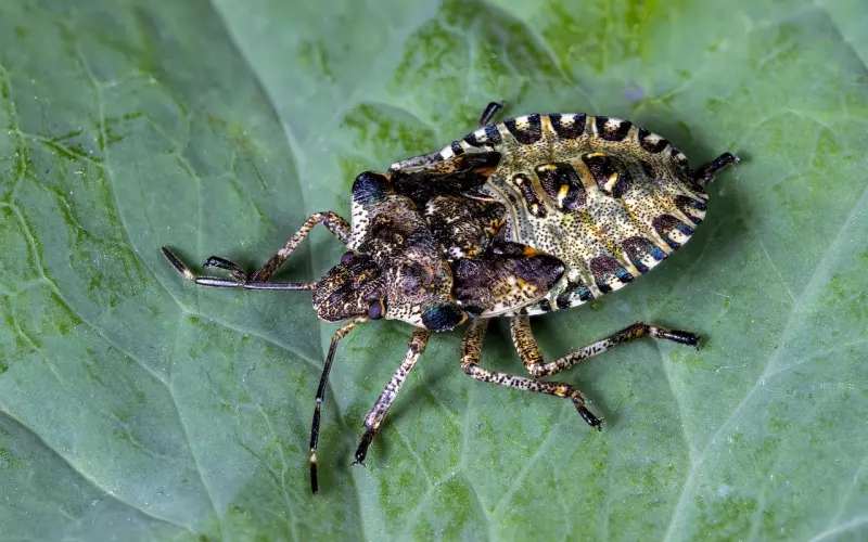 如何挽回qq屏蔽我的人？