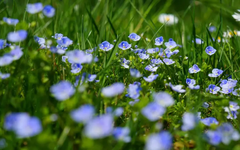 男朋友不爱我了怎么挽回？