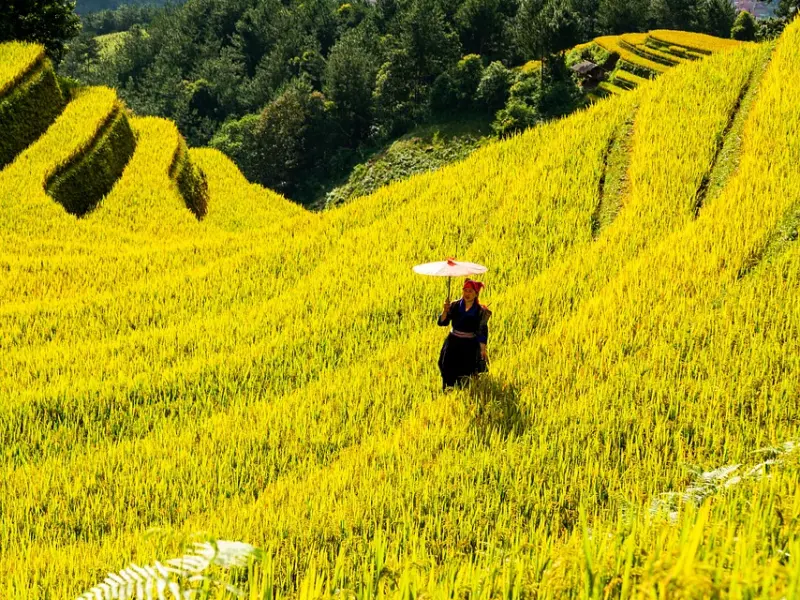 如何让男友尽快向我求婚？