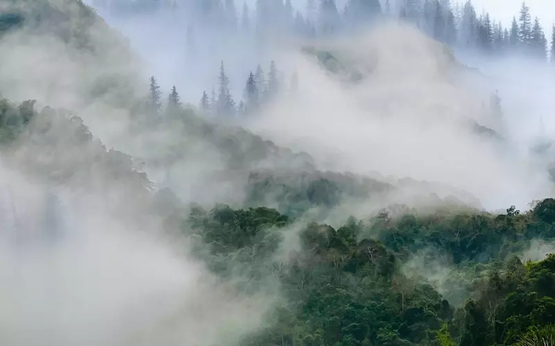 我失恋了怎么才能快速走出阴霾