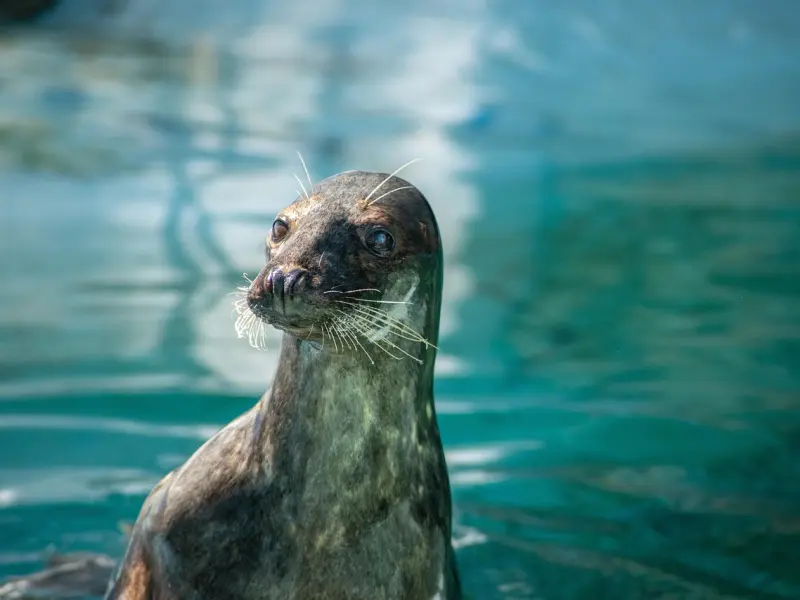 挽回中如何让他看到我的改变？