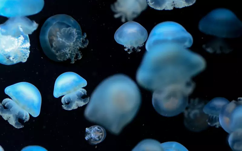 男友说要不算了吧如何挽回？专家支招帮你重新点亮爱情之火