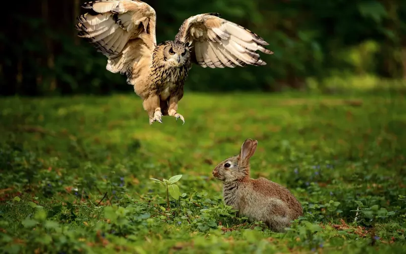 出轨被老公抓现行怎么挽回？实用方法大揭秘！