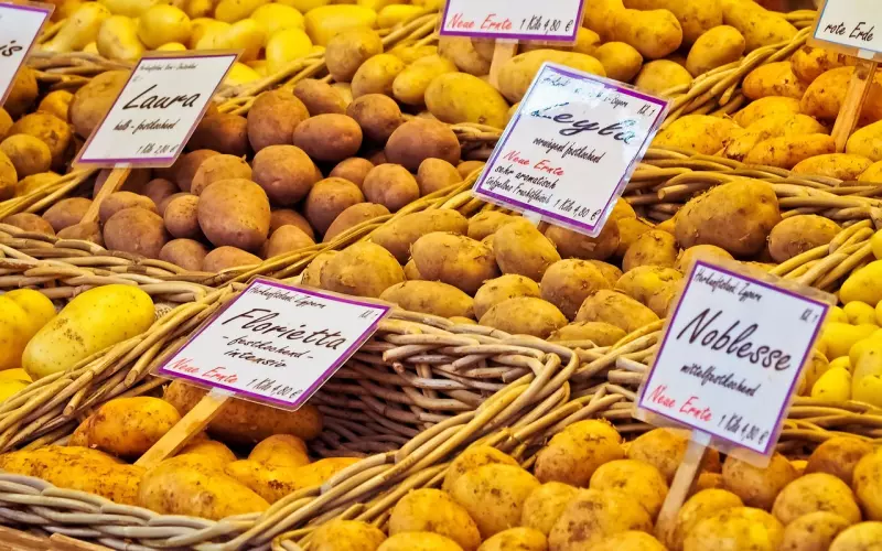 老婆干销售出轨怎样挽回？情感专家给你最佳建议