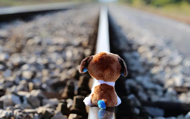 和老婆吵架分居了怎么挽回？情感专家给你的建议