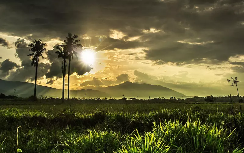 对方删了微信然后拉黑怎么挽回