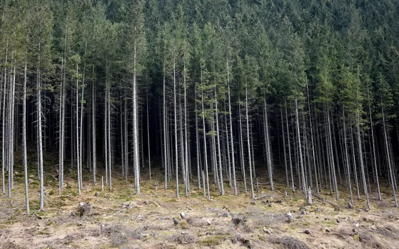 不爱了到底怎么挽回