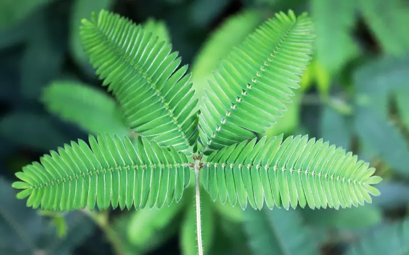 如何挽回自己曾经敏感多疑破裂的感情？