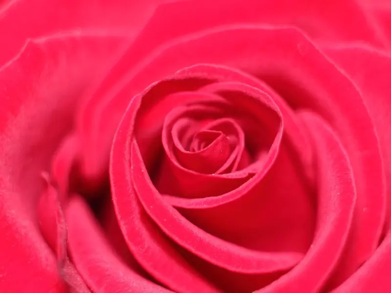 男友对我忽冷忽热要怎么拯救爱情