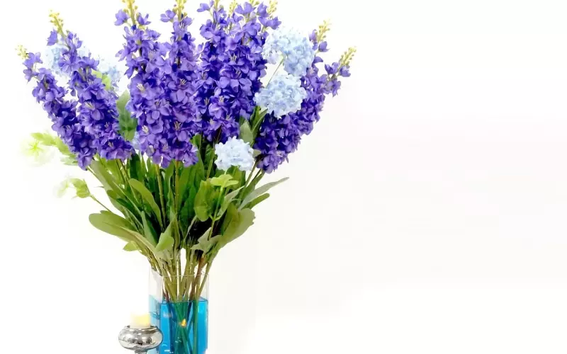 男友对我死心了怎么挽回：移情别恋的男友还可以挽回吗？如何软化男朋友的心