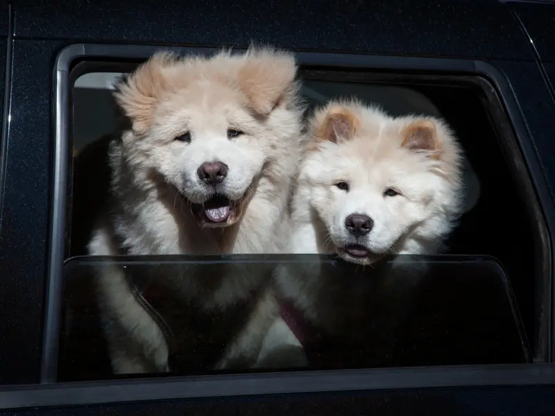 分手后该怎么挽回女友，让她主动回到我身边