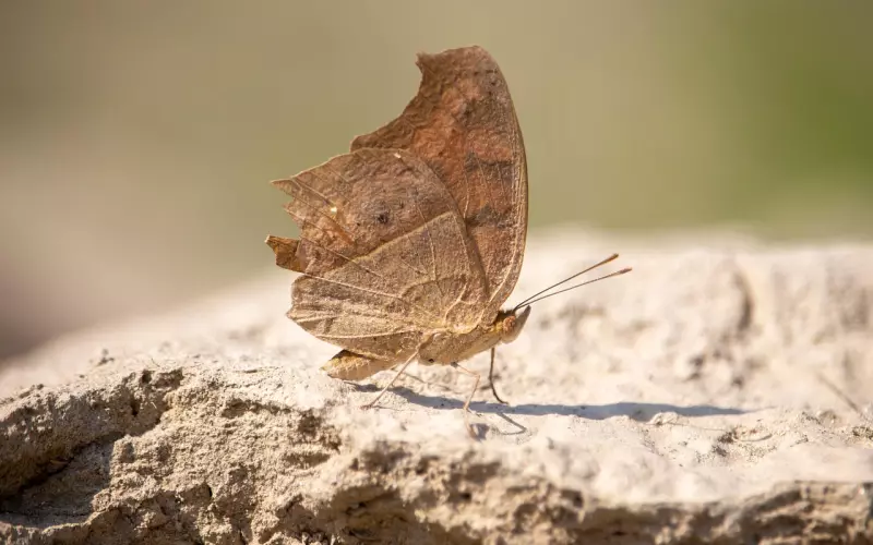 老婆的心有其他人怎么挽回？这些方法帮你化解危机