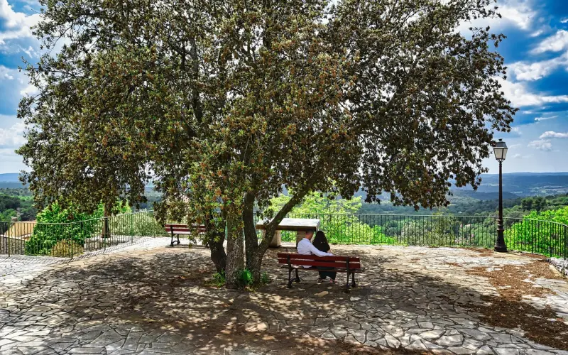 爱情要怎样才能不辜负青春？夫妻生活中闹矛盾又要如何解决？