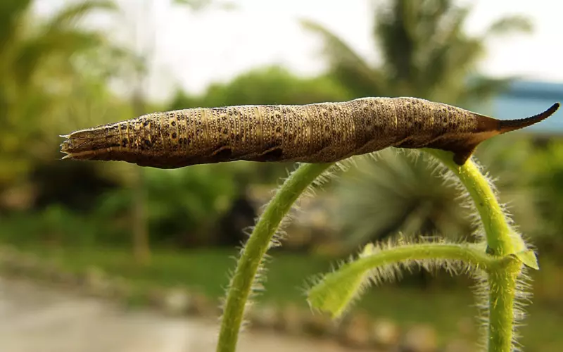 男人如何主导，女人如何辅助？