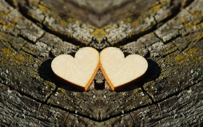 两颗心的距离该怎样才能更近