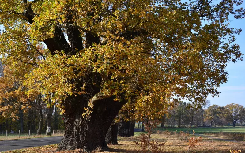 两人分手几个月了怎么复合？