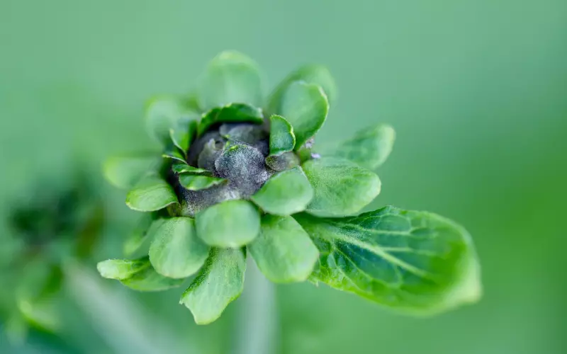 复联后怎样聊天，才能真正挽回？
