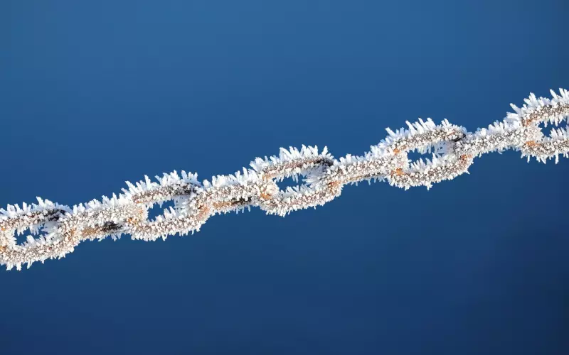 像唐晶一样的职场女性，该如何做到感情事业双丰收？