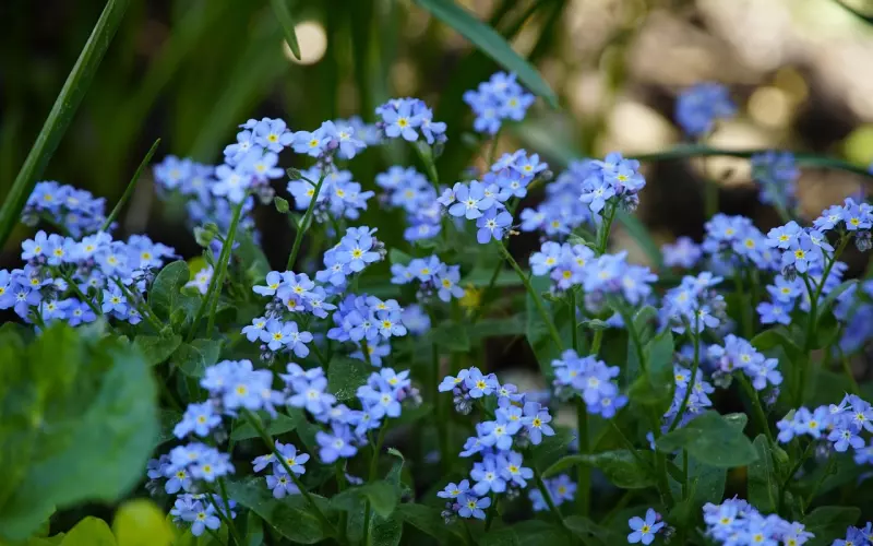 真心爱过的人，怎么可能说忘就忘