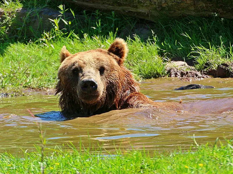 如何才能让自己在爱情中掌握主动权？